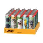 BIC