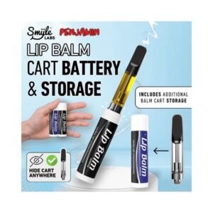 SMYLE LABS CHAPSTICK 400mAH CART BATTERY 5CT/ BOX