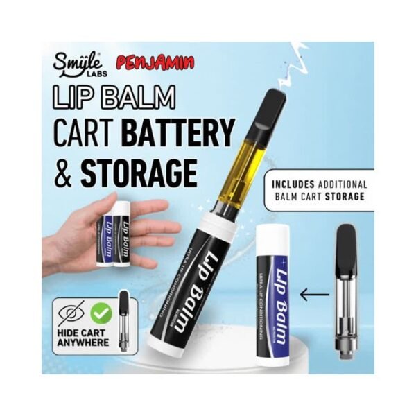 SMYLE LABS CHAPSTICK 400mAH CART BATTERY 5CT/ BOX