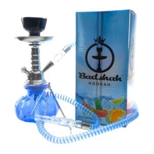 BADSHAH PUMPKIN 1 HOSE (10'') HOOKAH SET