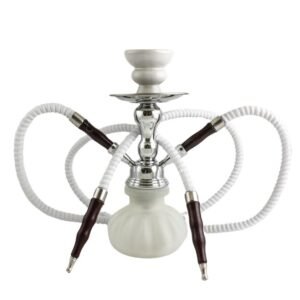 BADSHAH PUMPKIN 2 HOSE (10'') HOOKAH SET