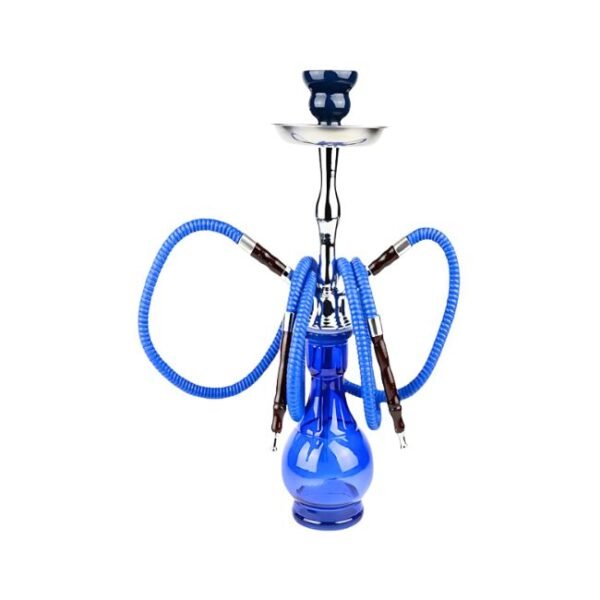 BADSHAH LUMINOUS PLATINUM SERIES 2 HOSE (17'') HOOKAH SET