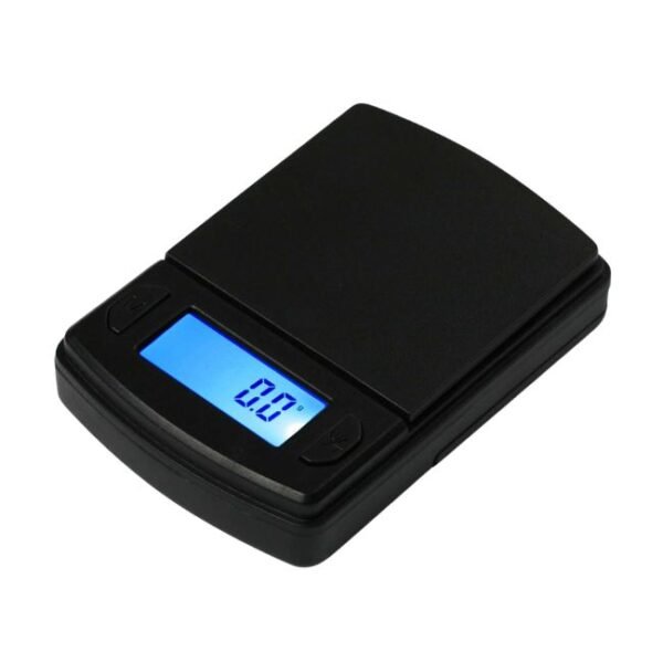 AWS MS-750 MULTI PURPOSE SCALE (750G X 0.1G)