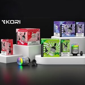 KORI 5% DISPOSABLE E-HOOKAH HEAD (240ML) 120K PUFFS 4CT/ BOX