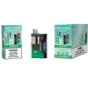 LOST ANGEL 5% DISPOSABLE BUILT IN USA (100ML) BOOST MODE - 30K & NORM. MODE - 50K PUFFS 5CT/ BOX
