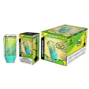 HEYBAR 5% DISPOSABLE E-HOOKAH HEAD (120ML) 25K PUFFS 6CT/ BOX