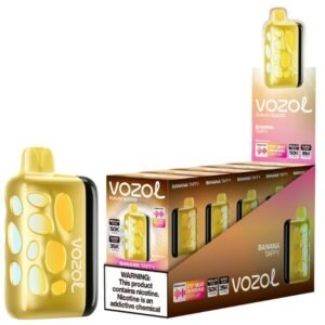VOZOL RAVE 5% DISPOSABLE (100ML) SURGE. MODE - 35K & REG. MODE - 50K PUFFS 5CT/ BOX
