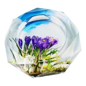 OILSEED AQUARIUM DESIGN HEAVY DUTY LARGE GLASS ASHTRAYS