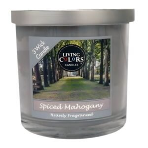 LIVING COLORS HEAVYLY FRAGNANCE ASSORTED FLAVOR CANDLE JAR