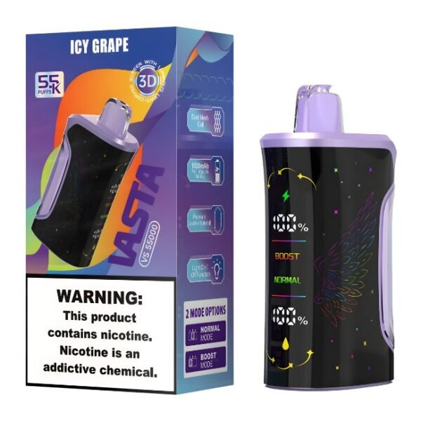 VASTA VS55000 5% DISPOSABLE (100ML) 55K PUFFS 5CT/ BOX