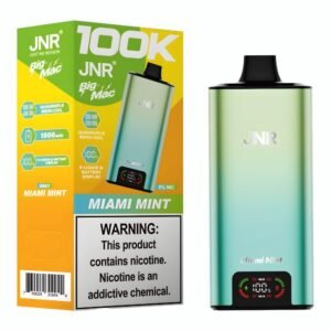 JNR BIG MAC 5% DISPOSABLE (100ML) 100K PUFFS 5CT/ BOX