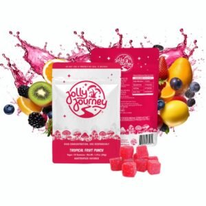 JOLLY JOURNEY NOOTROPICS INFUSED MUSHROOM VEGAN GUMMIES 10PK 5CT/ BOX