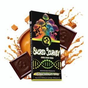 SACRED JOURNEY MUSHROOM MICRO DOSE 4500MG CHOCOLATE BAR 6CT/ BOX